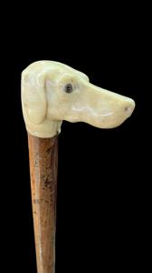 Stock mit Elfenbeingriff in Form eines Hundekopfes.