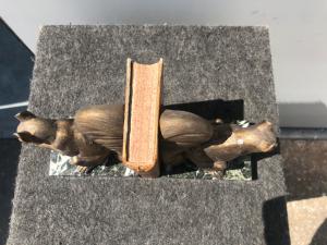 Foto 5