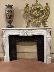 French fireplace with Napoleon III cast iron reducer