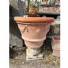 Prodotto di interesse