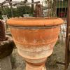 Prodotto di interesse