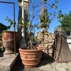 Prodotto di interesse