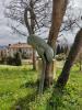 Prodotto di interesse
