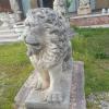 Prodotto di interesse