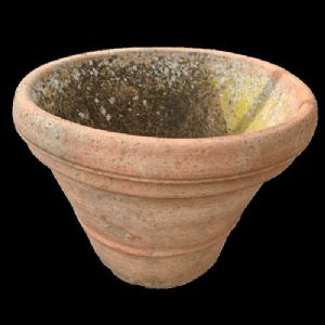 Antichi vasi 